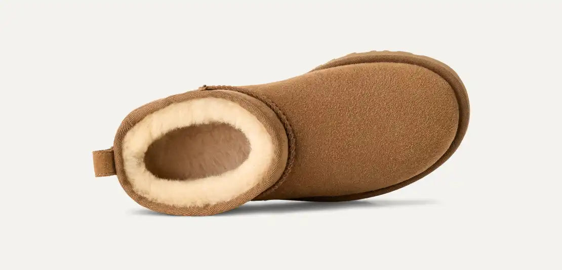Cleo Classic Shoes Brown
